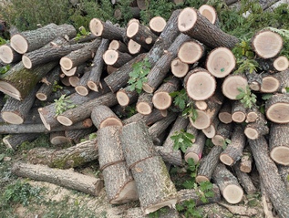 Дърва за огрев на метър